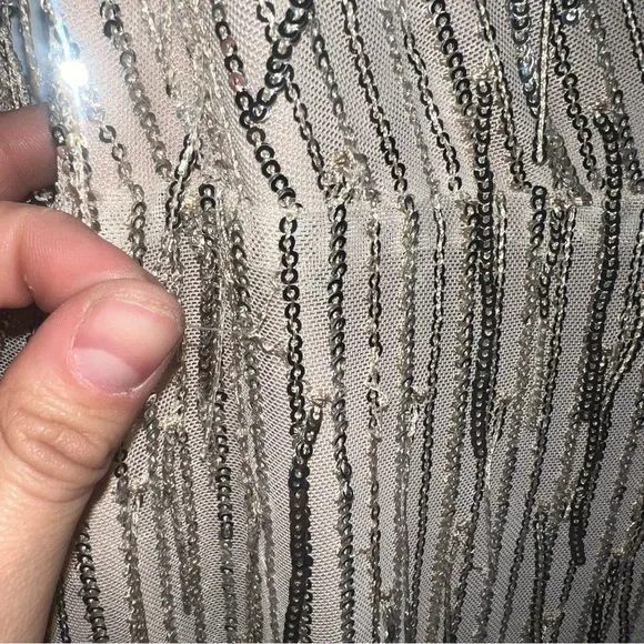 NwT Harlyn Silver Sequin Fringe Dress (Missing Belt) - Picture 11 of 13